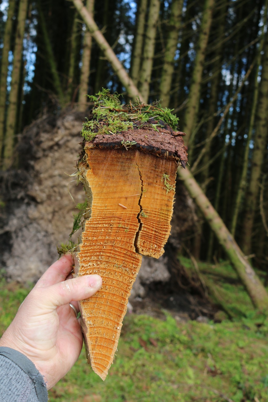 Northern Ireland Human Rights Commission advice on the RIGHT to be British – which carries more weight, the person asserting that right by self affiliating, or the premise trasher telling them they are not British